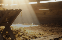 Convocatoria para La Pastorela Navideña Parroquial