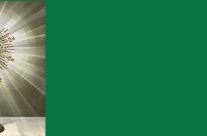 Eucharistic Adoration