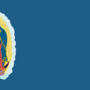 Our Lady of Guadalupe